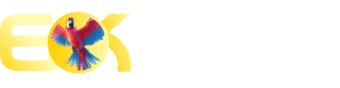 Logo Oficial 6K GAME - Plataforma Certificada de Jogos Online